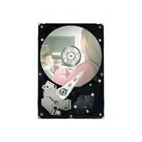 Seagate DB35 Series ST3500830SCE - Hard drive - 500 GB - internal - 3.5" - SATA-300 - 7200 rpm - buffer: 8 MB