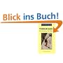 Terrorismus. Provokation der Macht