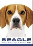 THE DOG Notecard Vol. 1 - Beagle