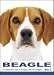   - THE DOG Notecard Vol. 1 - Beagle