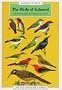 The Birds of Sulawesi (Images of Asia)