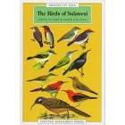 The Birds of Sulawesi (Images of Asia)