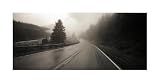 Wet Highway by Unknown. Size 21.75 inches width by 9.27 inches height. High Quality Art Poster Print