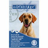 Advantage 12pk Dog Blue Over 55 Lbs