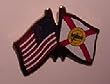 Florida & U.S. Lapel Pin