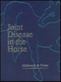 Joint disease in the horse