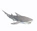 Shark Hand Puppet - Great White