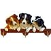 Australian Shepherd Leash Hook