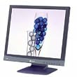 Neovo F 417 - Flat panel display - TFT - 17" - 1280 x 1024 - 260 cd/m2 - 450:1 - 12 ms - 0.264 mm - VGA