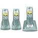 BT Diverse 6110 - DECT Cordless Telephone - Triple Pack (Titanium)