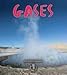 Book Gases (First Step Nonfiction)