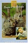 Bunnies in the Bathroom (Animal Ark)