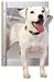 Small Classic Pet Door