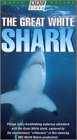 Great White Shark