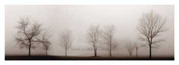 Misty Meadow by E. Clark