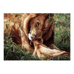 Wild Tenderness 500-pc. Puzzle