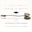 Small Book of Black and White Lies