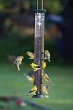 Droll Yankees 23 Metal Thistle Feeder-8 Ports