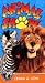 Animal Show: Zebra and Lion