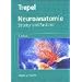 B�cher zur Vorklinik Medizin