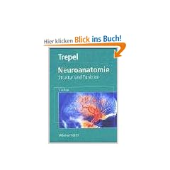 Neuroanatomie. Struktur und Funktion