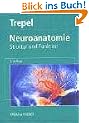 Neuroanatomie. Struktur und Funktion