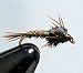 Flashback Pheasant Tail Nymph Size: 14