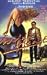 DVD : Wild at Heart
