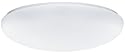 Lithonia Lighting FM 54 ACLR LP M4 Two-Light Fluorescent Flush-Mount Ceiling Fixture, White Acrylic Globe