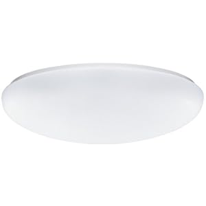 Lithonia Lighting FM 54 ACLR LP M4 Two-Light Fluorescent Flush-Mount Ceiling Fixture,... by Lithonia Lighting