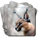 LYNX CARACAL Set of 4 Coasters
