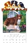 Australian Shepherd 2009 Calendar Holder Gift Set