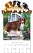 Australian Shepherd 2009 Calendar Holder Gift Set