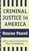 Book Criminal Justice in America