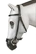 Exmoor Premium Padded Snaffle Bridle