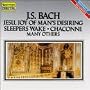 Jesu Joy of Man's Desiring