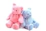 Pink 22" My First Teddy Bear