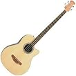Applause AE140-4 Acoustic-Electric Bass Guitar, Natural