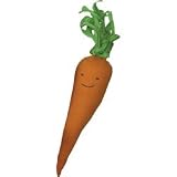 Organic Veggies and Fruit Safe Non-toxic Teething Toys for Baby (Carrot)