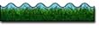 BORDER GRASS SCALLOPED