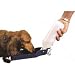 Dog on Tour Water Bottle - 500 ml