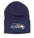 Seattle Seahawks Basic Logo Cuffed Knit Hat