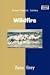 Book Wildfire (Large Print)