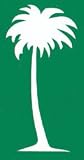 PALM TREE STENCIL Snazaroo Face Painting Stencil