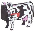 Cow Mailbox