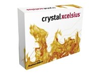 Crystal Xcelsius 4.5 Standard Full Product