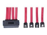 Tripp Lite Internal 4-in-1 32-Pin SFF-8484 to 4 7-Pin SAS Cable (1 meter)