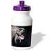 rottweiler26 - Dogs Rottweiler Rottweiler portrait Water Bottles