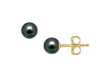 Akoya Cultured Pearl Stud Earrings : 14K Yellow Gold 5 MM