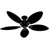 Hunter 23980 Bayview 54-Inch Five-Antique Dark Wicker Antique Dark Palm Leaf Plastic-Blades-Ceiling Fan Provencal Gold